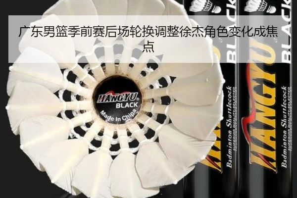 广东男篮季前赛后场轮换调整徐杰角色变化成焦点